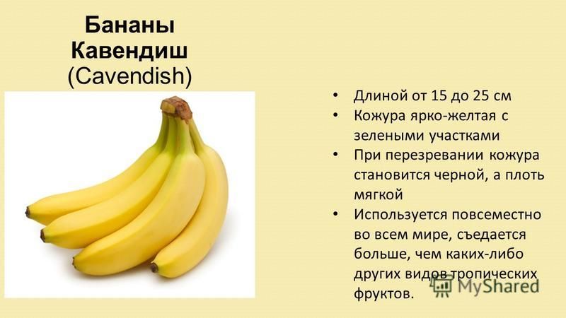 Сколько весит банан без кожуры в среднем. Селекция бананов. Загадка про банан. Первые бананы. Банан без кожуры.