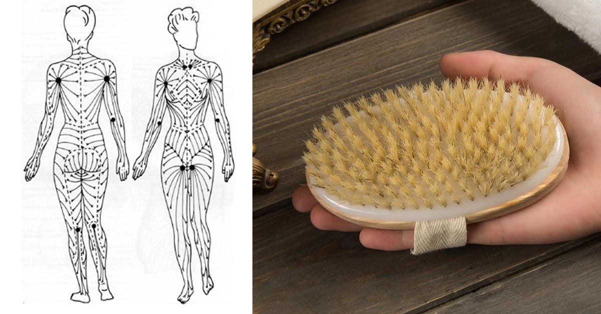 Массаж щеткой от целлюлита в домашних. Щётка для сухого массажа. Линии массажа тела сухой щеткой. Схема массажа сухой щеткой. Массажные линии для сухого массажа щеткой.
