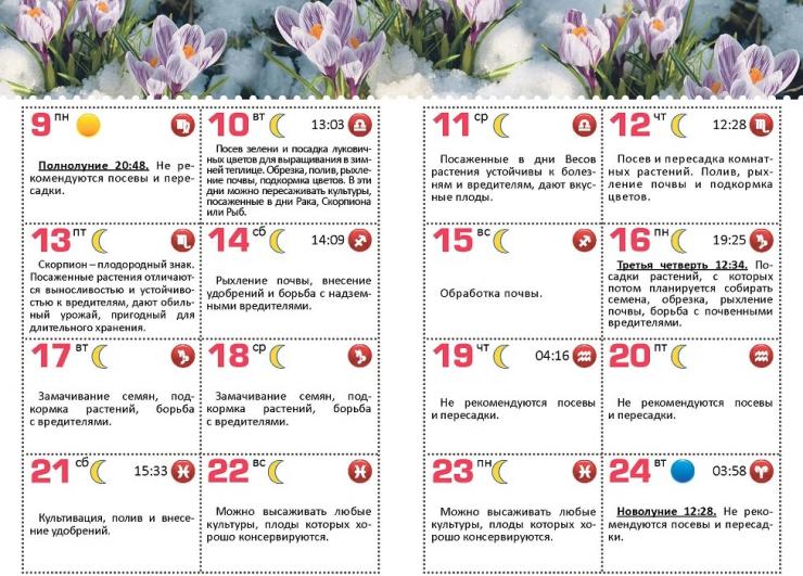 Лунный календарь посева капусты в апреле 2024