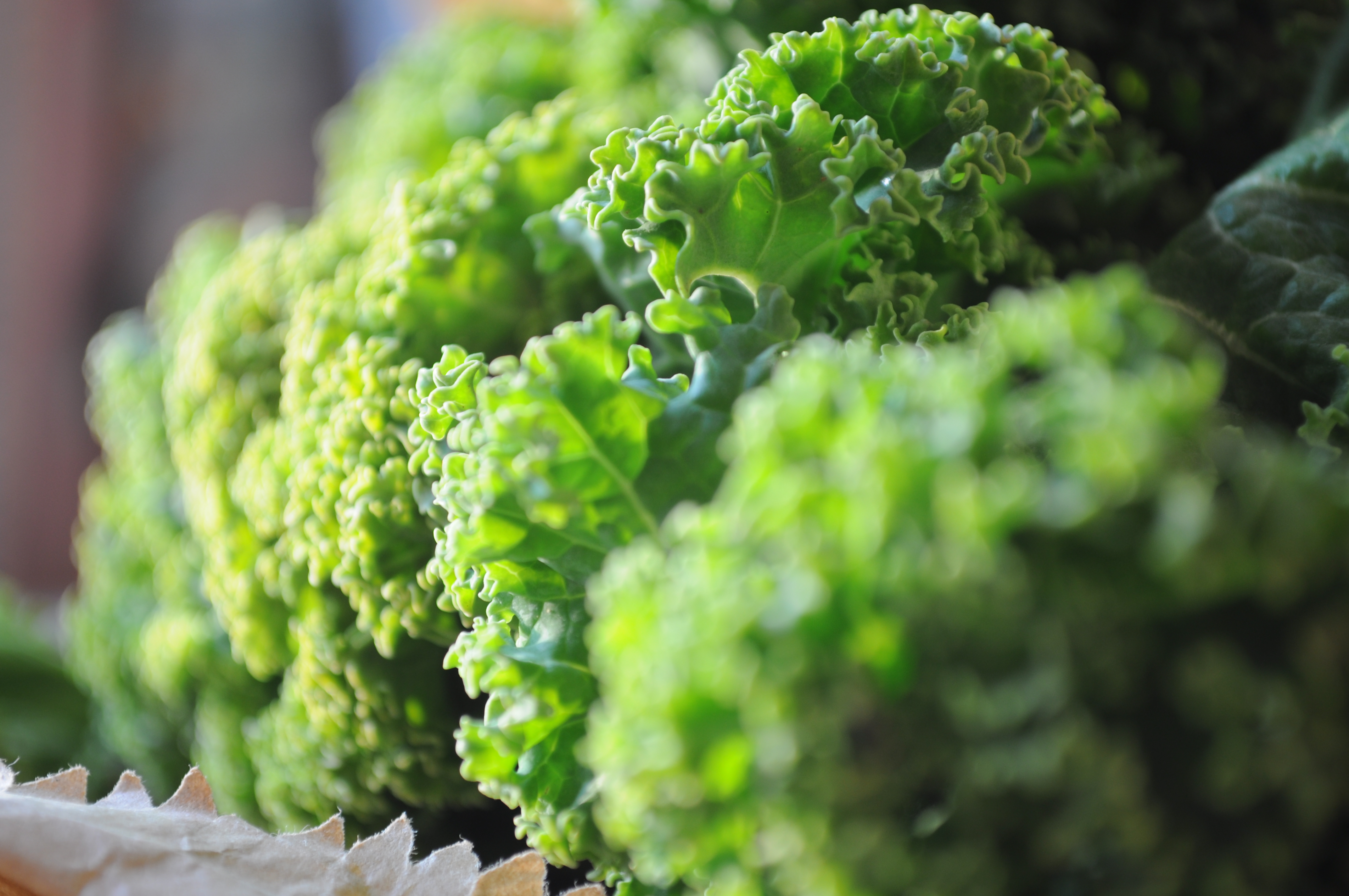 Есть зеленые овощи. Kale зелень. Капуста шпинат брокколи. Капуста Green Vitamin. Капуста листовая Мистер Грин.