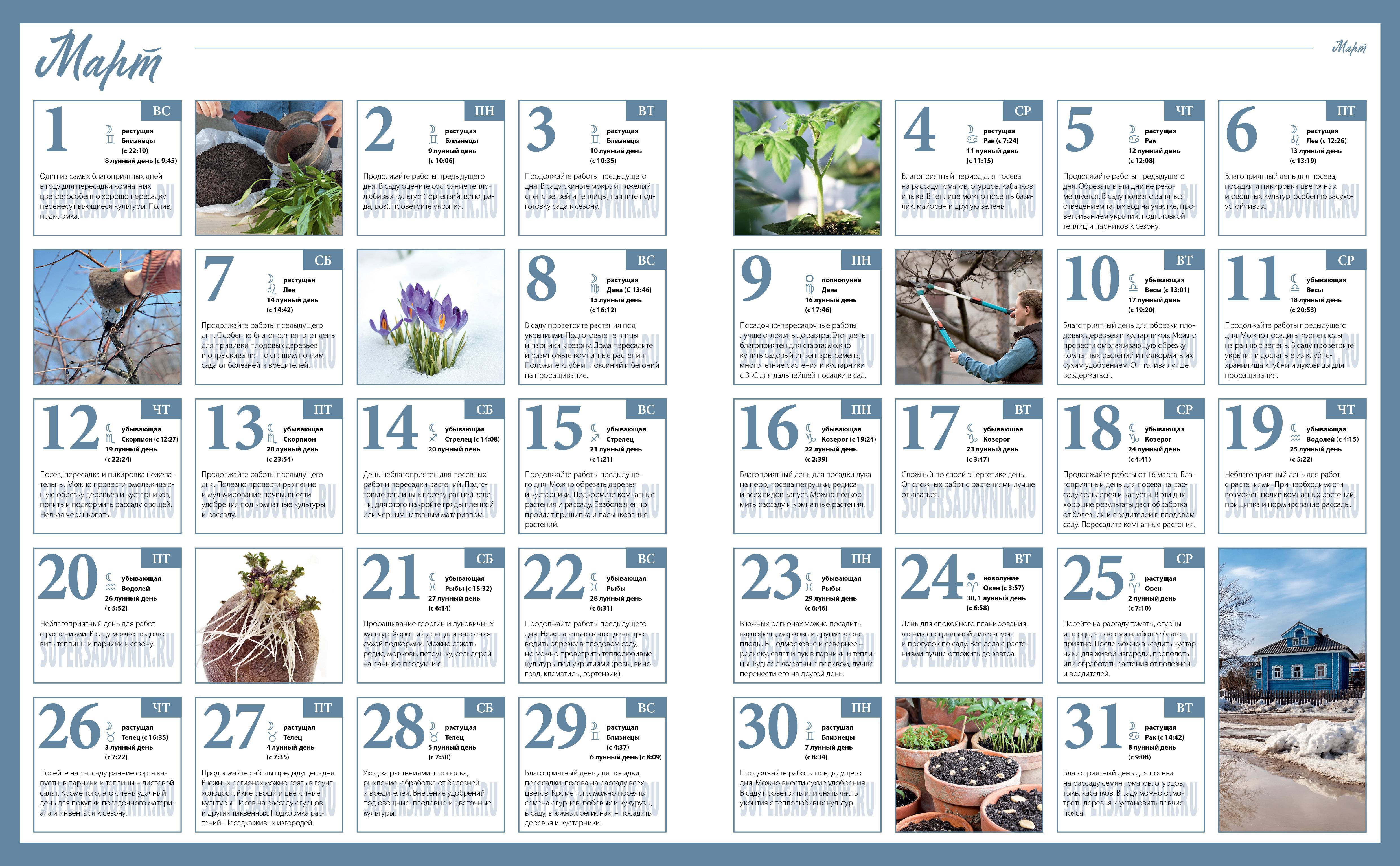 Лунный календарь на апрель комнатные растения. Календарь огородника. Календарь посадок на 2021 год для садоводов и огородников. Посевной календарь садовода и огородника. В апреле 2023 посадка цветов.